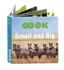Picture Book- Small and Big
