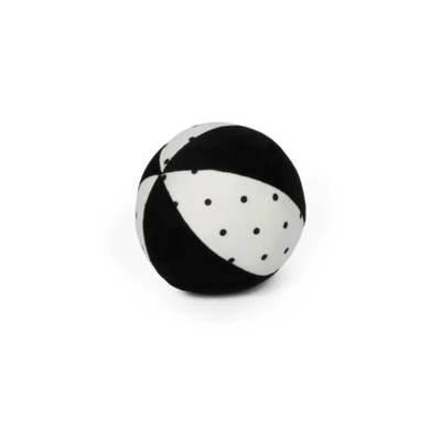 Vision Training Ball